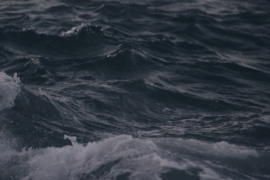 Demy de Zeeuw groeit uit tot succesvolle zakenman met groot vermogen