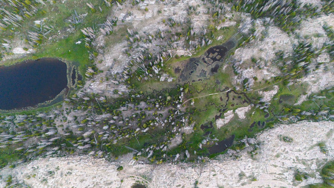 De kracht en kleur van Molukse scheldwoorden in de dagelijkse taal