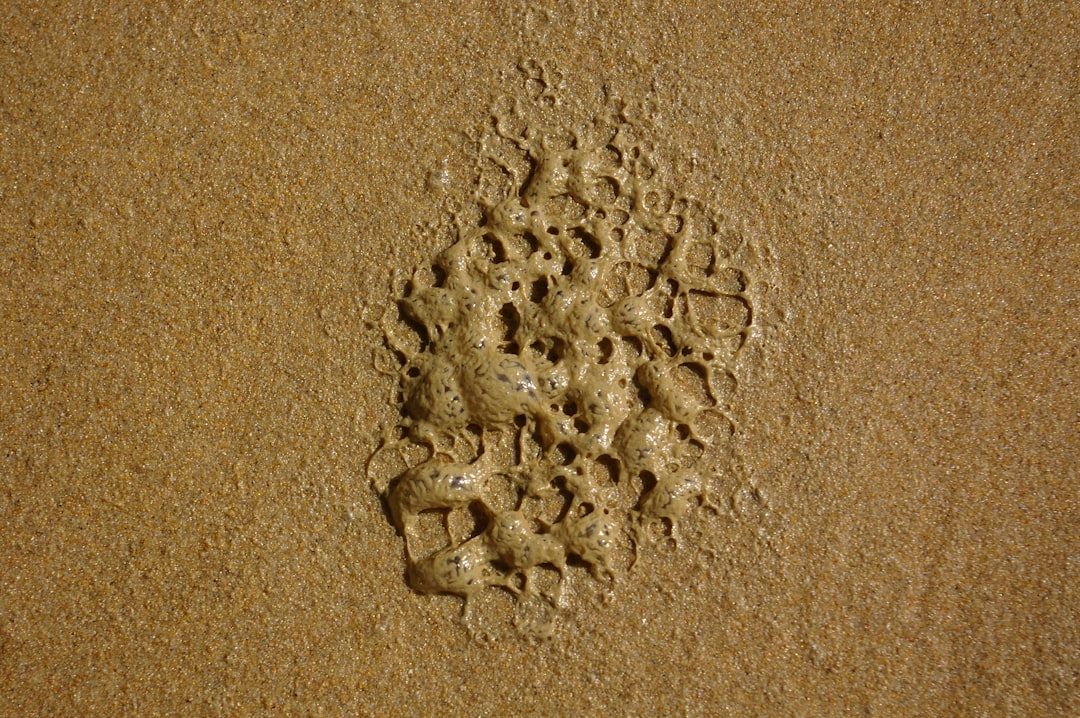 Antilliaanse scheldwoorden: kleurrijke taal en sterke uitingen