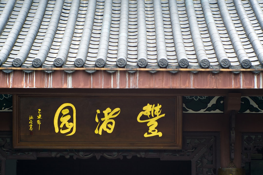 De kleurrijke wereld van Chinese scheldwoorden en uitdrukkingen